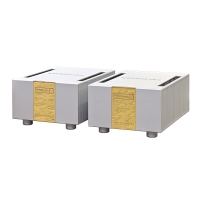EMM LABS MTRX ReferenceMono Amplifiers