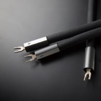 Goebel (괴벨) lacordestatement speaker cable